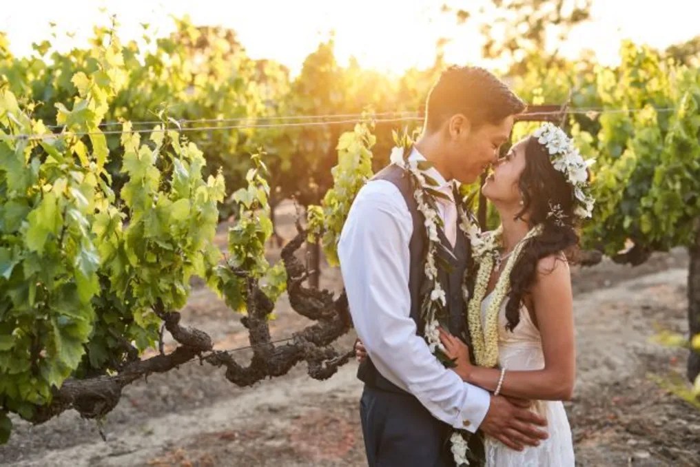 Scribner Bend Vineyards #188