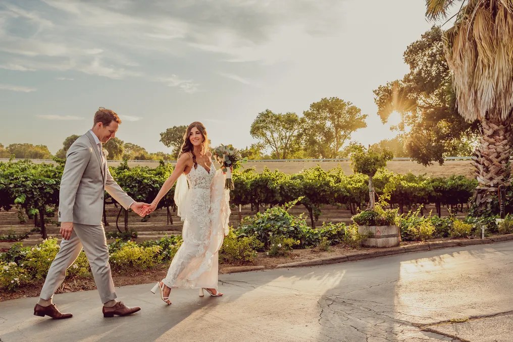 Scribner Bend Vineyards #193