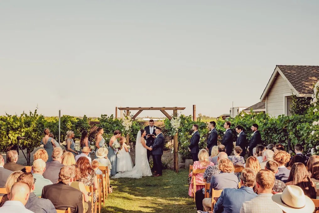 Scribner Bend Vineyards #209