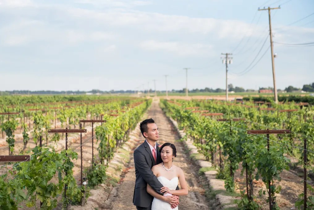 Scribner Bend Vineyards #219