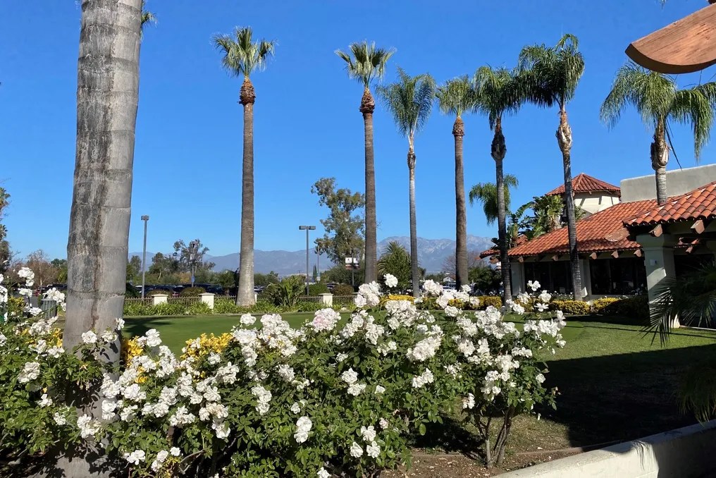 Los Serranos Golf & Country Club #45