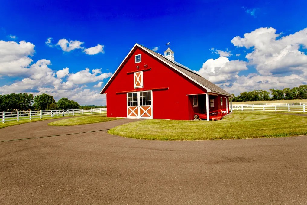 Chestnut Hills Farm #19