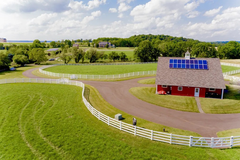 Chestnut Hills Farm #20