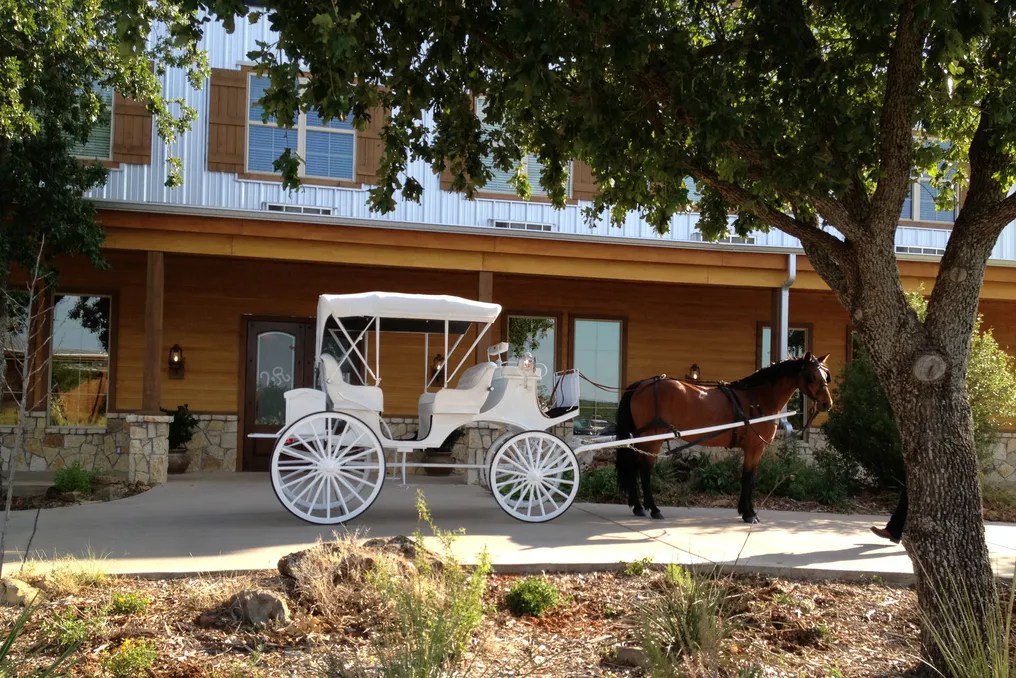 Wildcatter Ranch #6