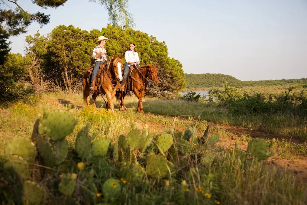 Wildcatter Ranch #25