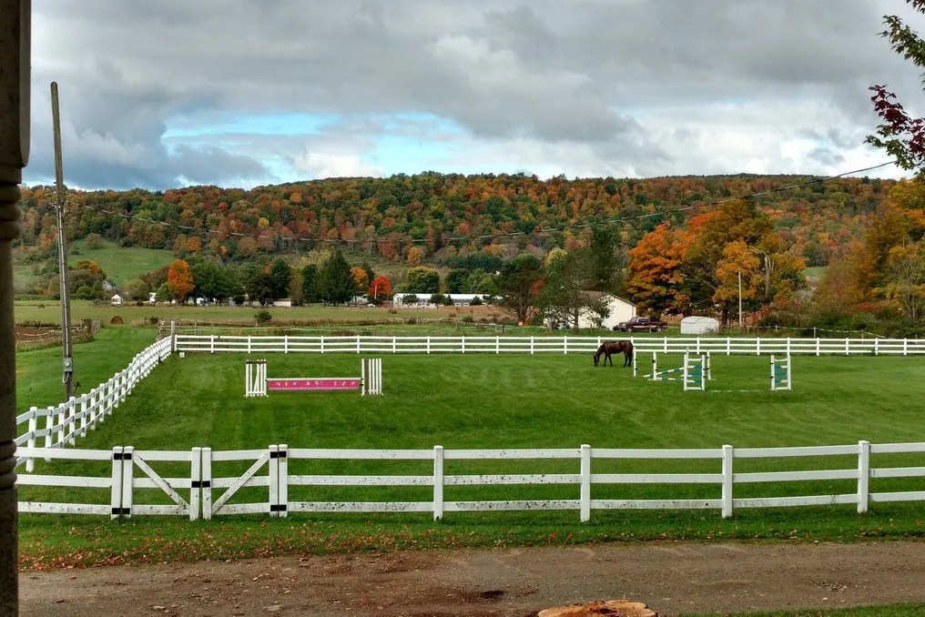 Enchanted Valley Farm #9