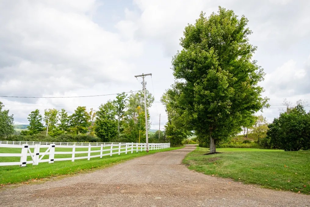 Enchanted Valley Farm #12