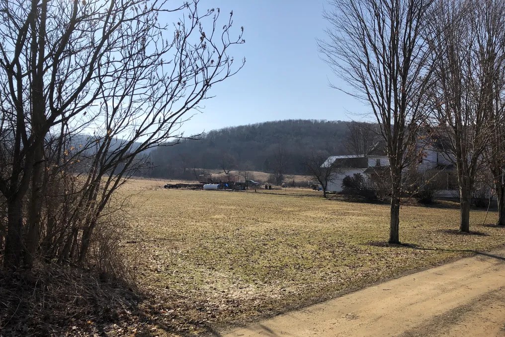 Enchanted Valley Farm #24