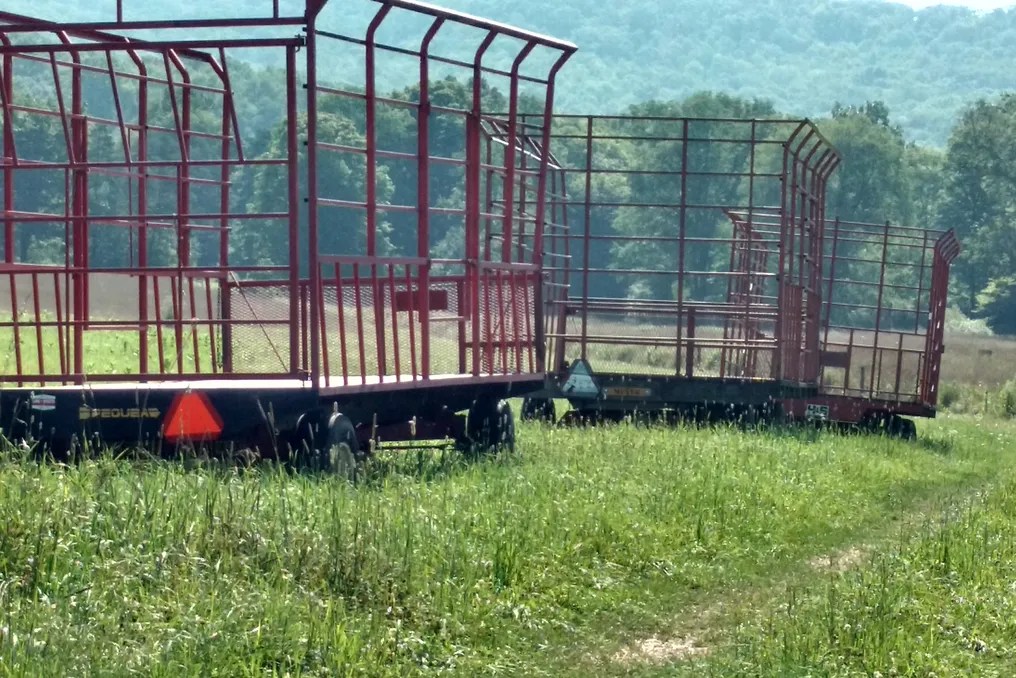 Enchanted Valley Farm #27