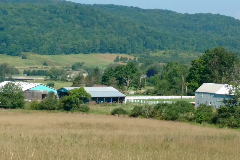 Enchanted Valley Farm #28