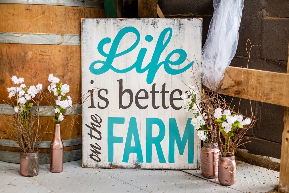 Enchanted Valley Farm #35
