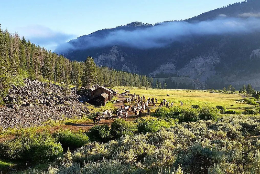 Elkhorn Ranch #4