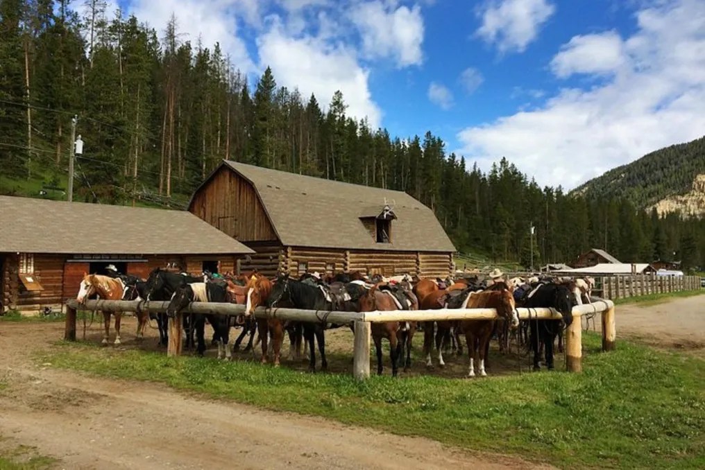 Elkhorn Ranch #8