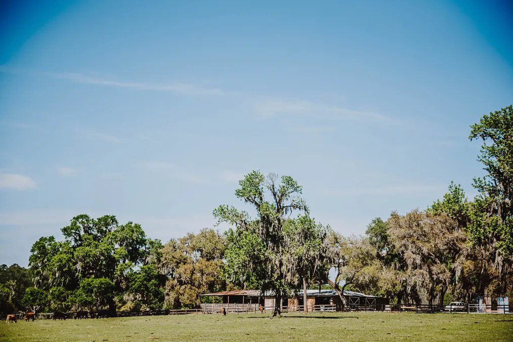 The Cattle Barn at Triple J Farm #23