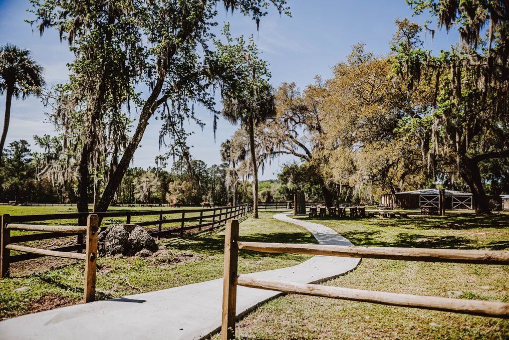 The Cattle Barn at Triple J Farm #30