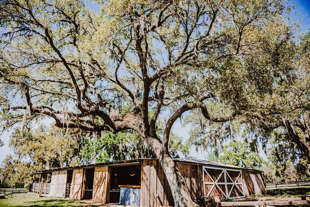 The Cattle Barn at Triple J Farm #35
