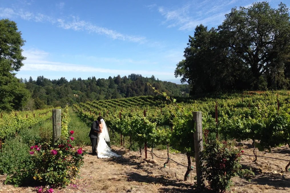 Redwood Ridge Estate #9