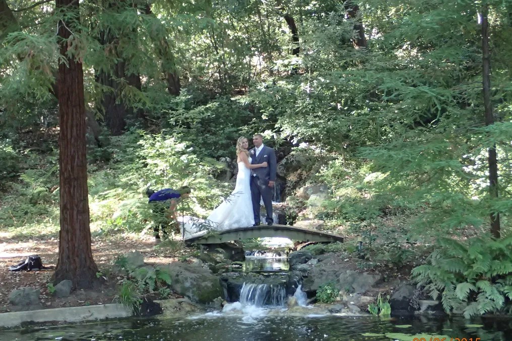 Redwood Ridge Estate #10