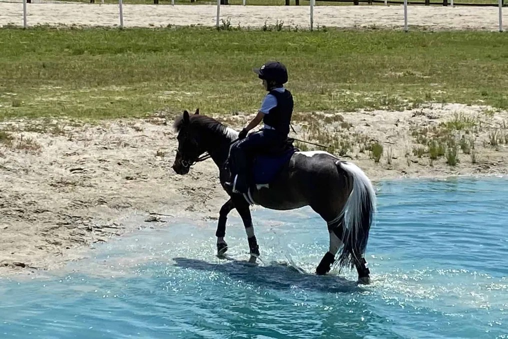 Portofino Equestrian Center #4