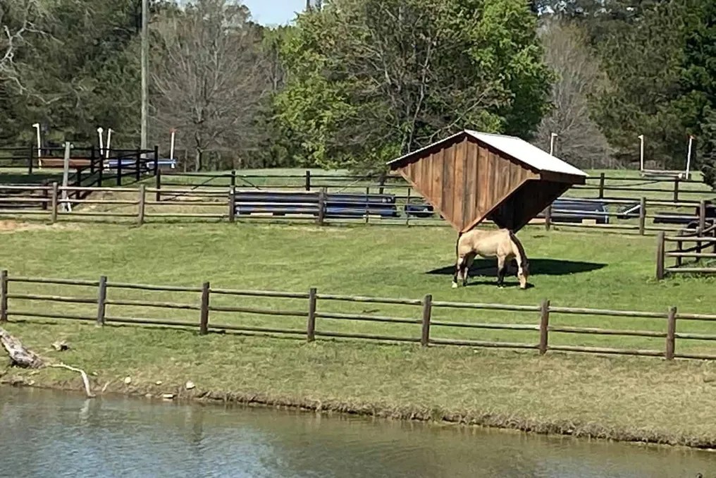 Portofino Equestrian Center #7