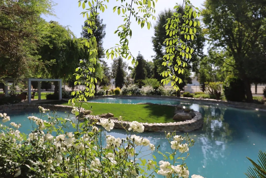 Evergreen Island #9