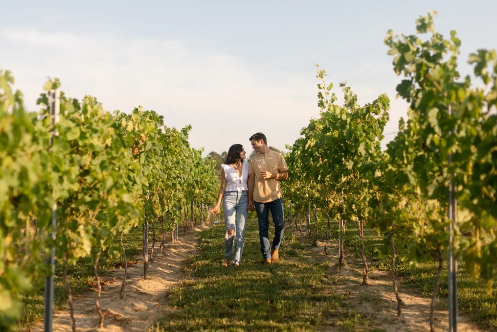 Riverside Vines #16
