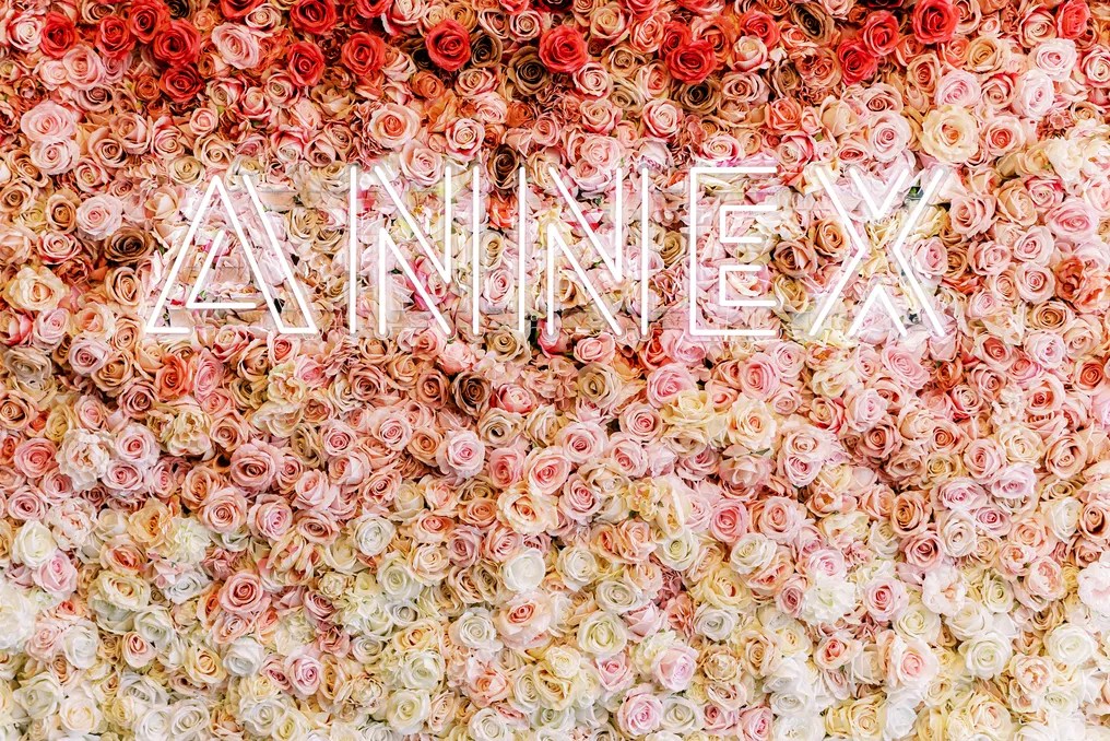 Annex by Black River Barn #13