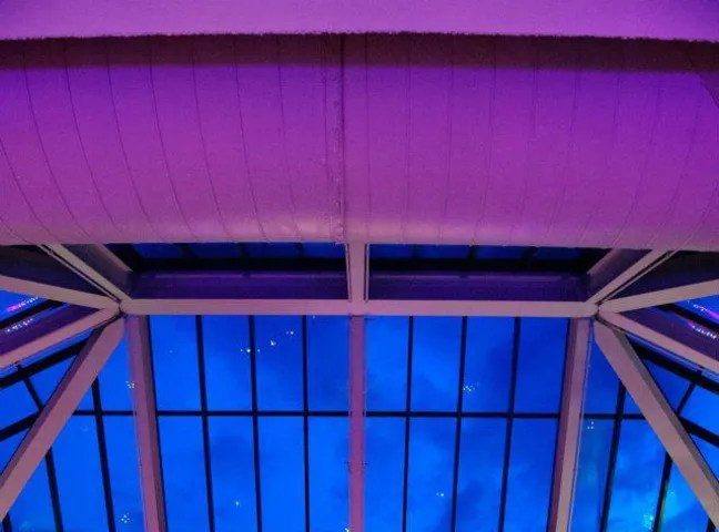 The Atrium at Meadowlark Botanical Gardens #20