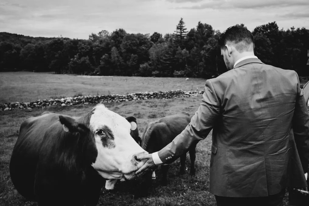 Wallenpaupack Creek Farm #3