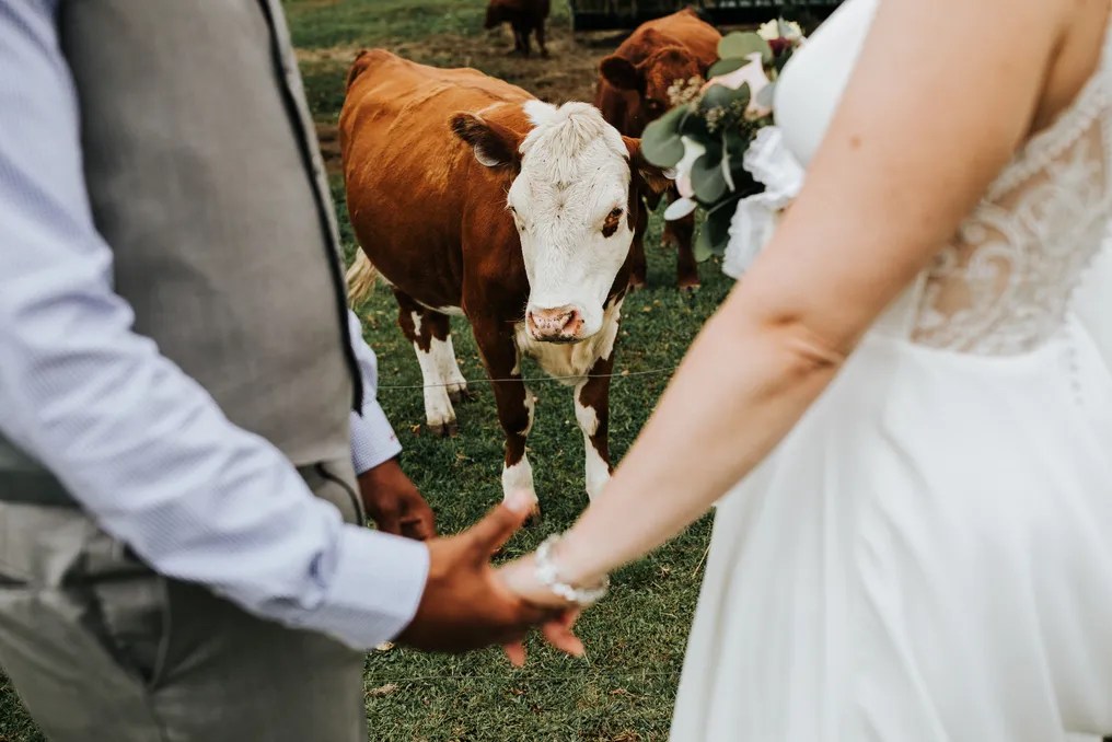 Wallenpaupack Creek Farm #20