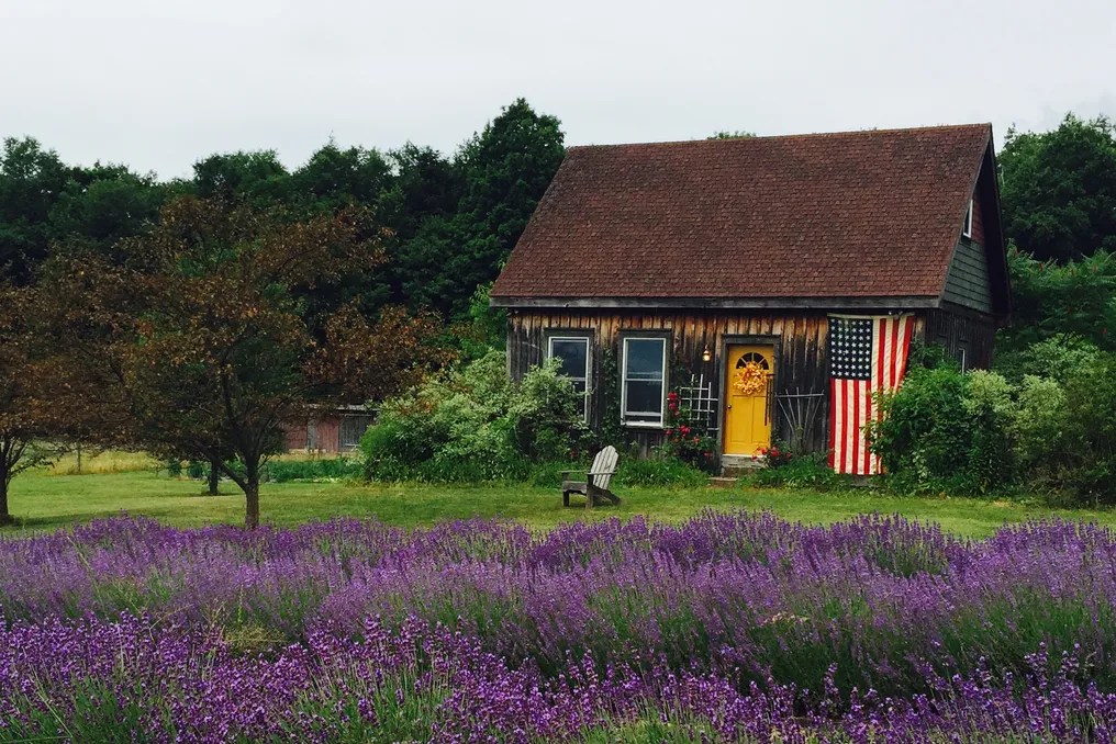 The Rusty Star Barn #7
