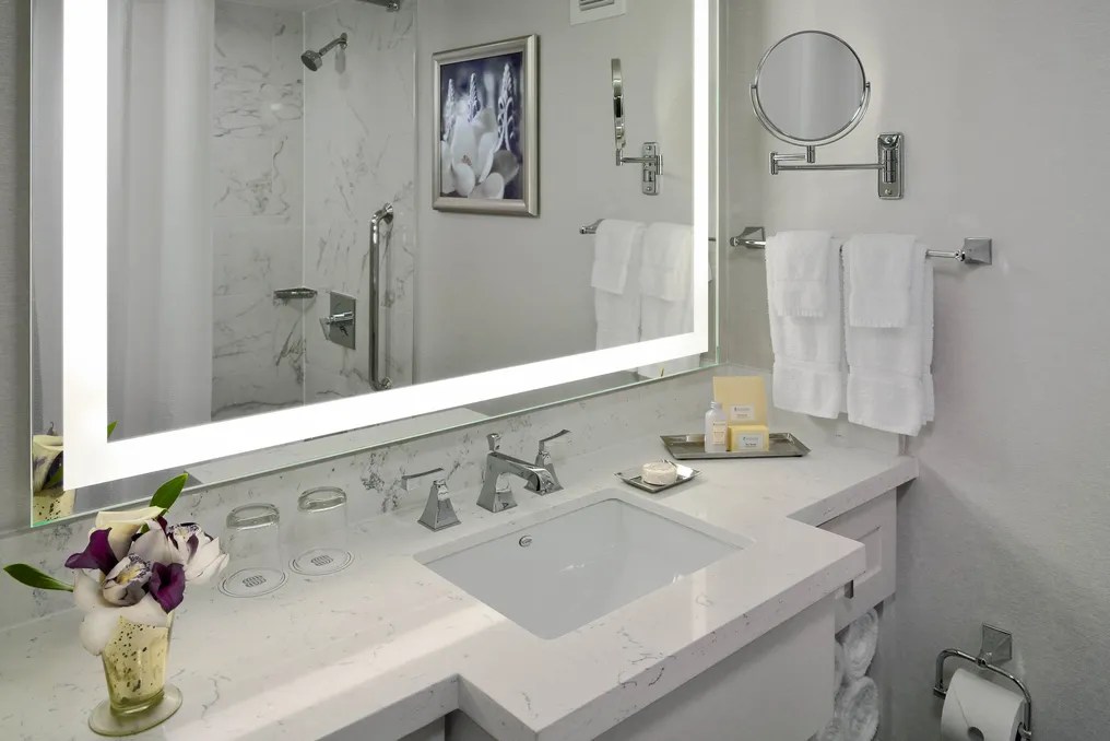 The Royal Sonesta New Orleans #22