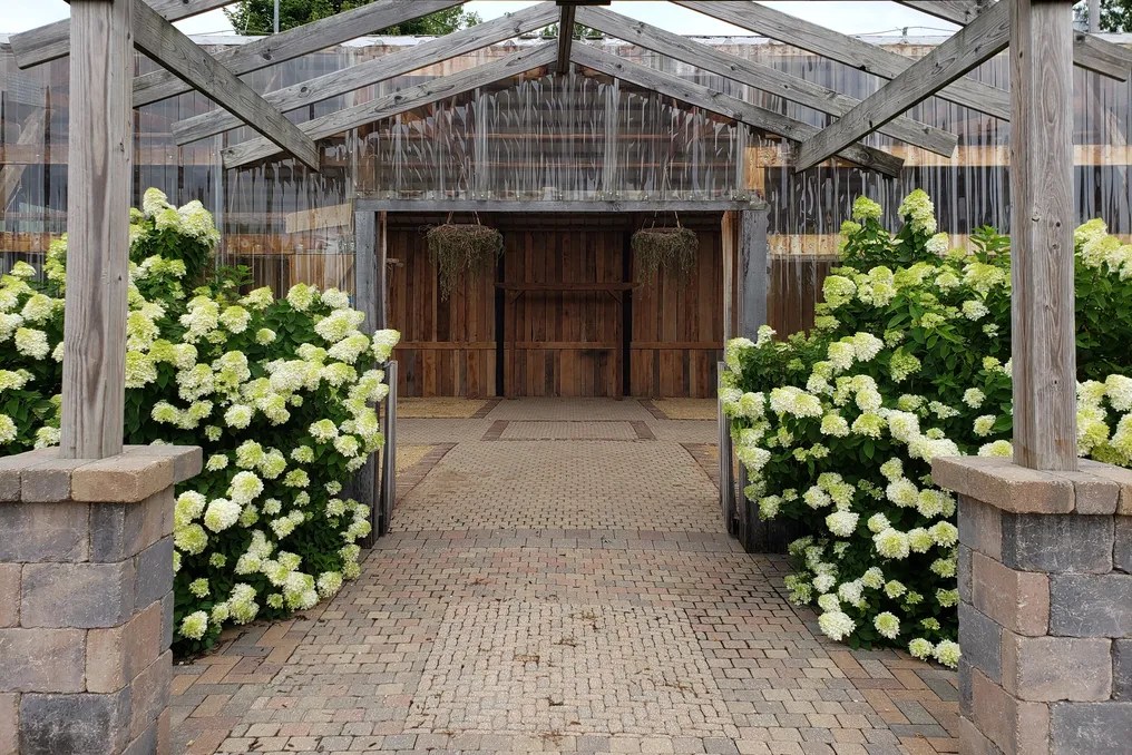 The Barn at Brophy Creek Farm #15