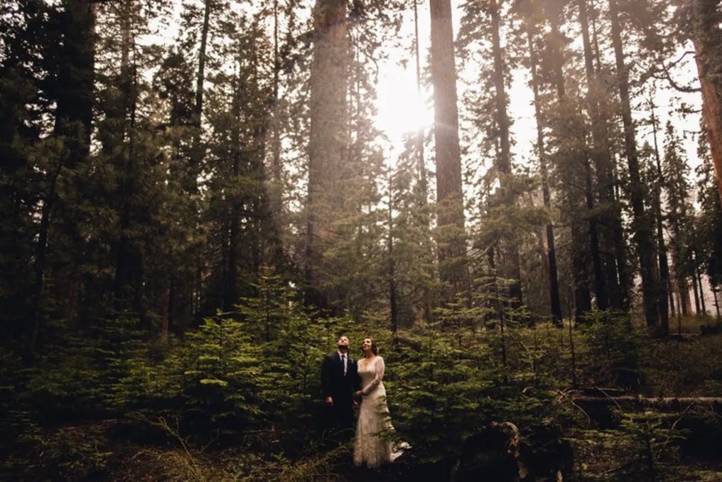 Sequoia Weddings - All Inclusive weddings & elopements #1