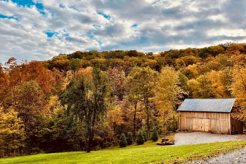 The Barn at Fern Hollow #1