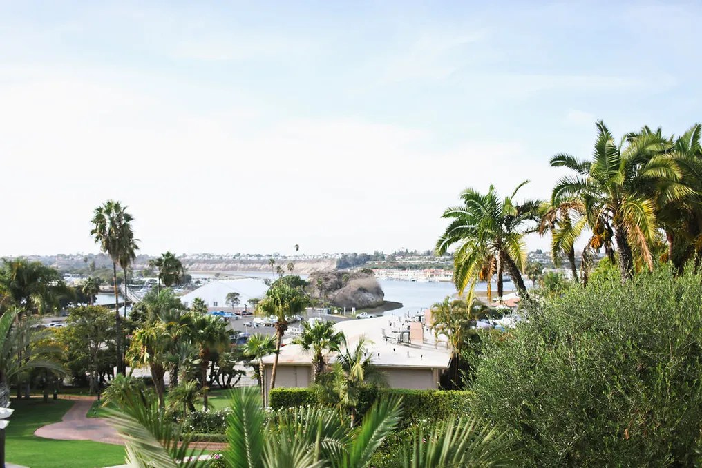 Hyatt Regency Newport Beach #41