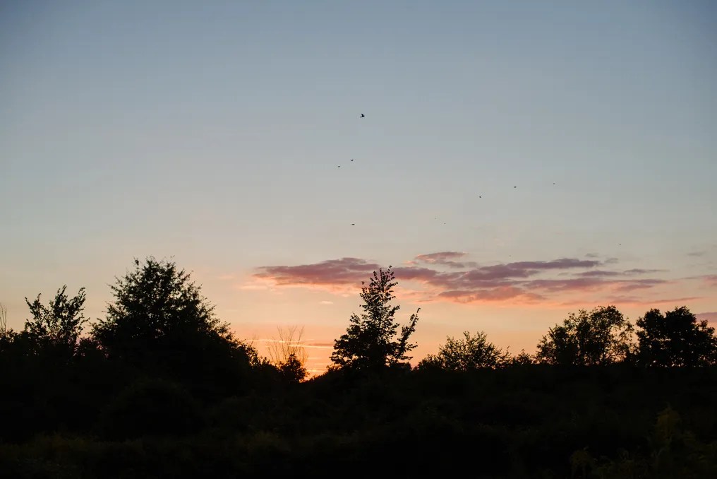 Succop Nature Park #25