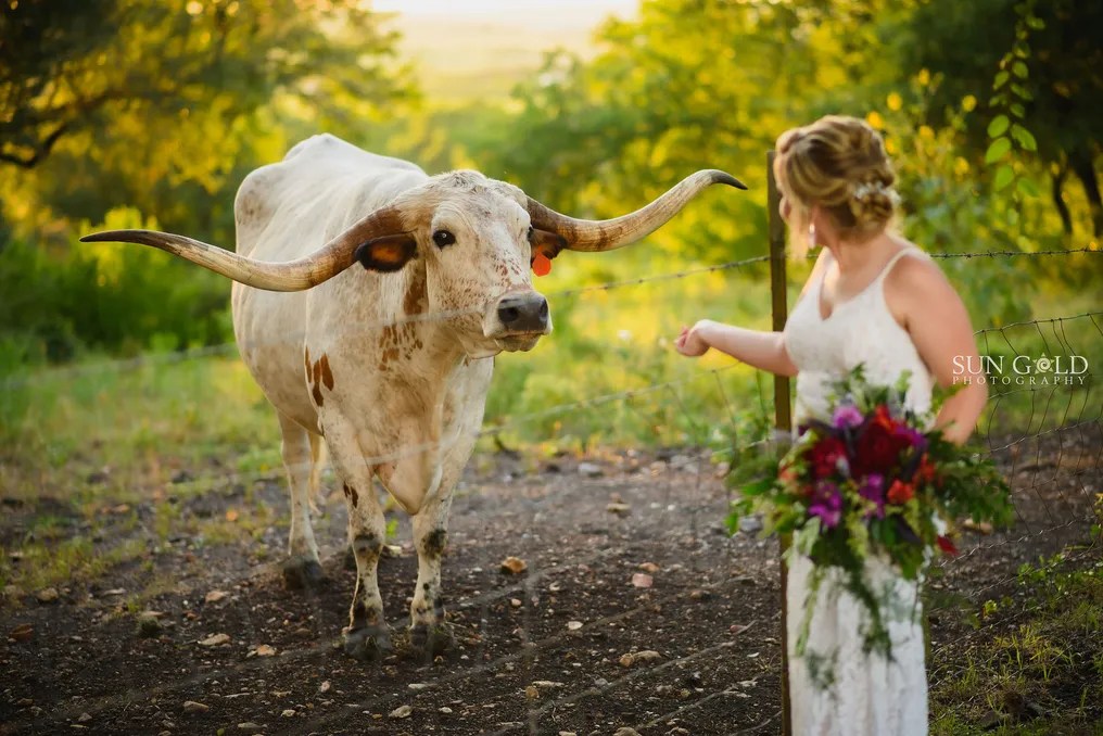 Harper Hill Ranch #12