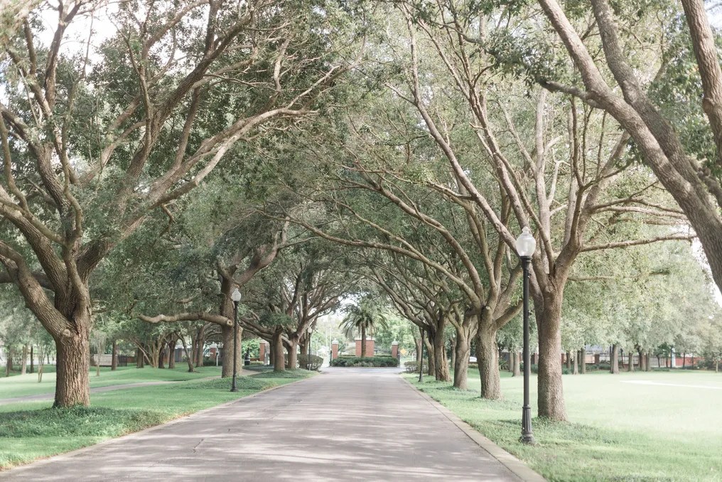 The Cypress Grove Estate House #22