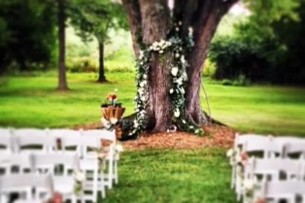 The Barn at Orchard View #6
