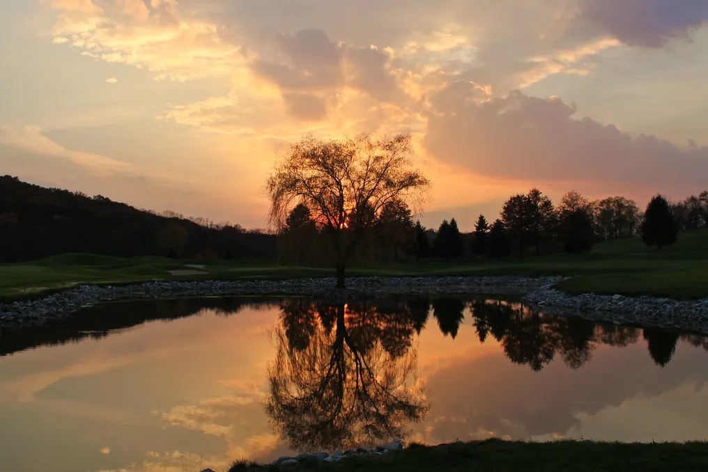Woodstone Country Club #61
