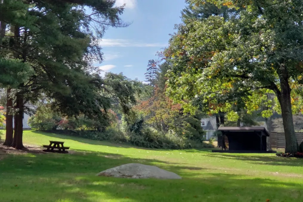Tamarack Lodge & Glamping Resort #21