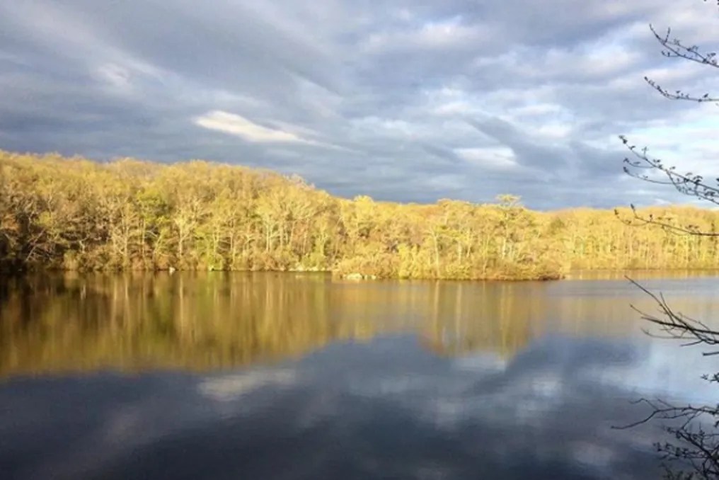 Tamarack Lodge & Glamping Resort #22