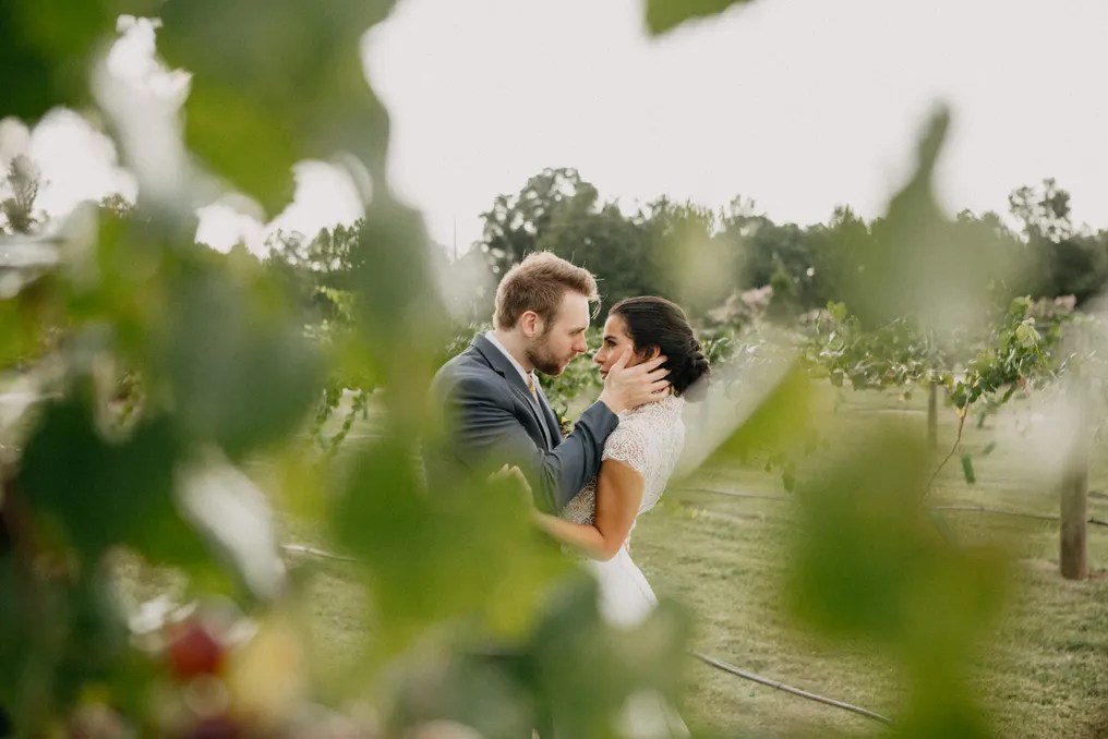 Tuscan Rose Vineyards #21
