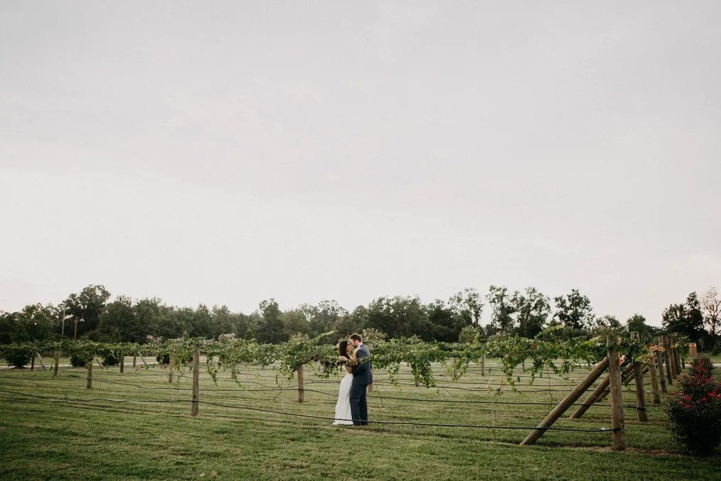 Tuscan Rose Vineyards #23