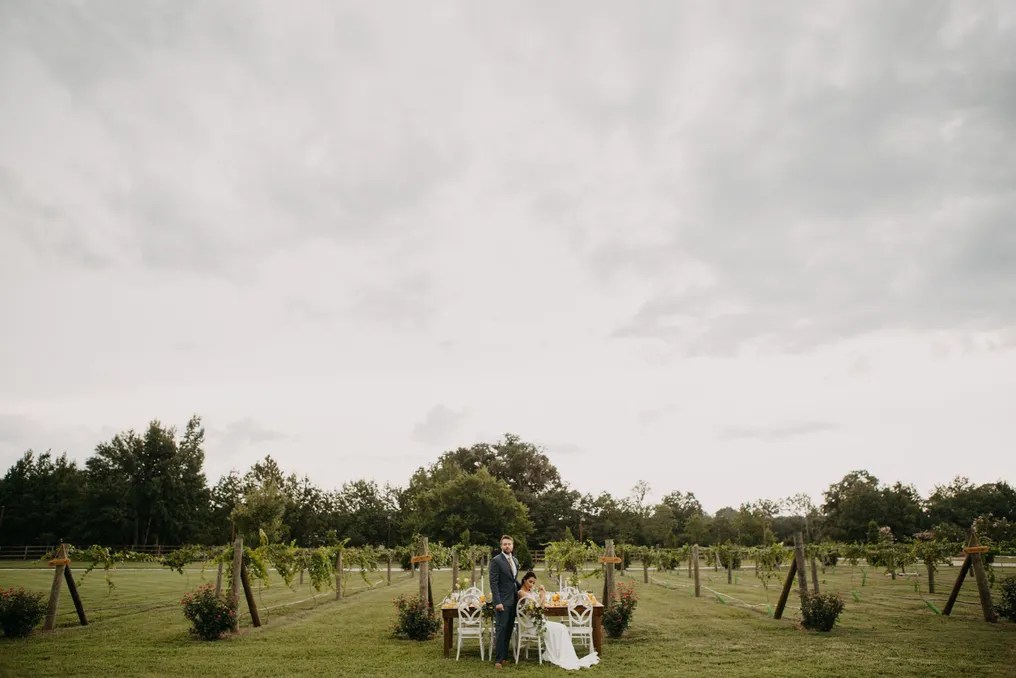 Tuscan Rose Vineyards #25