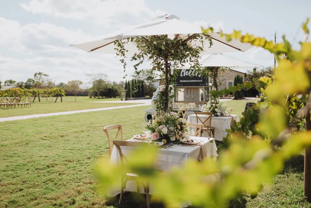 Tuscan Rose Vineyards #29