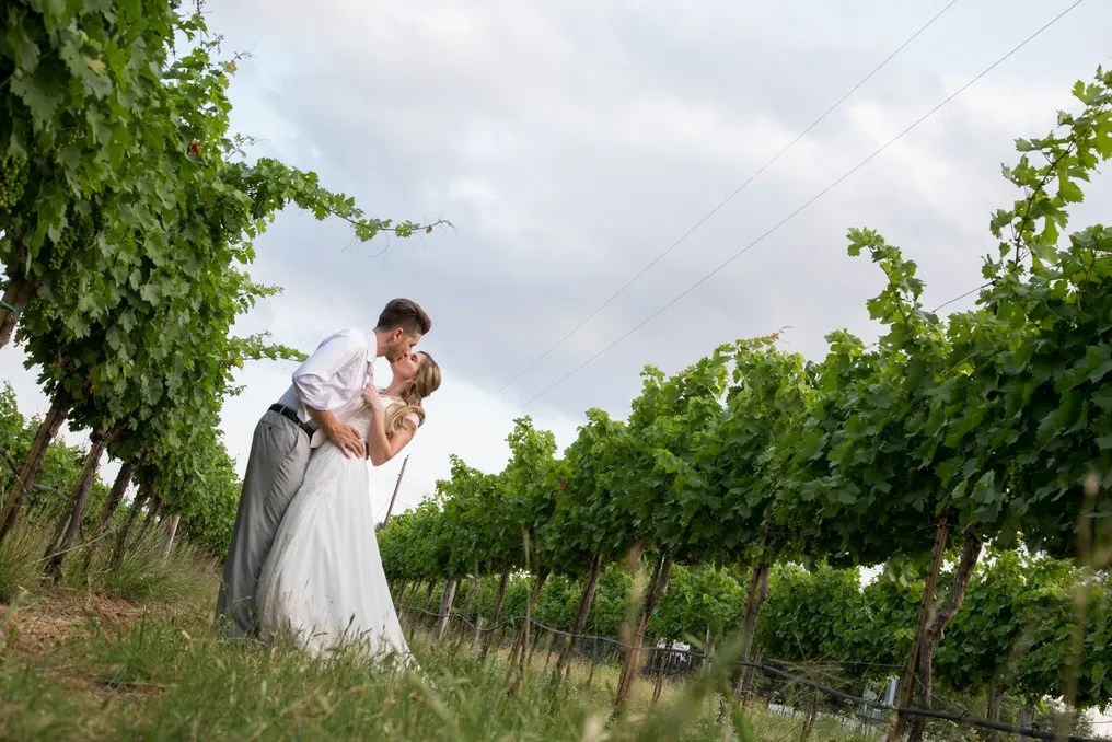 Spicewood Vineyards #1