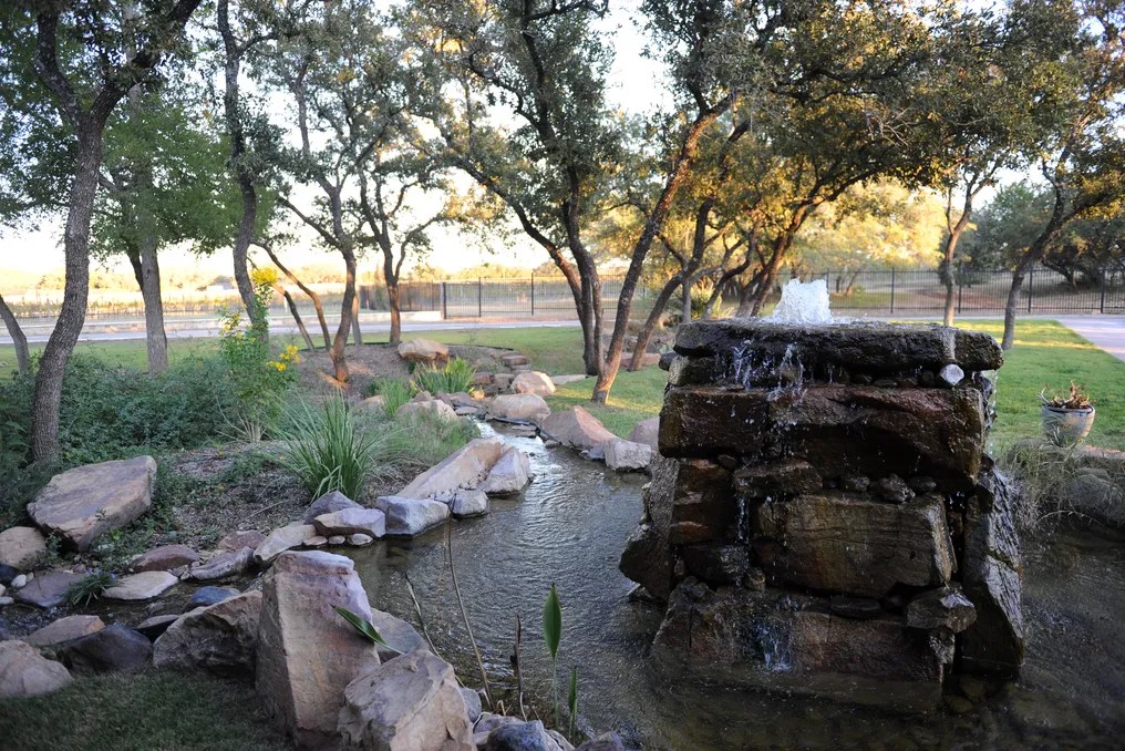 Spicewood Vineyards #9