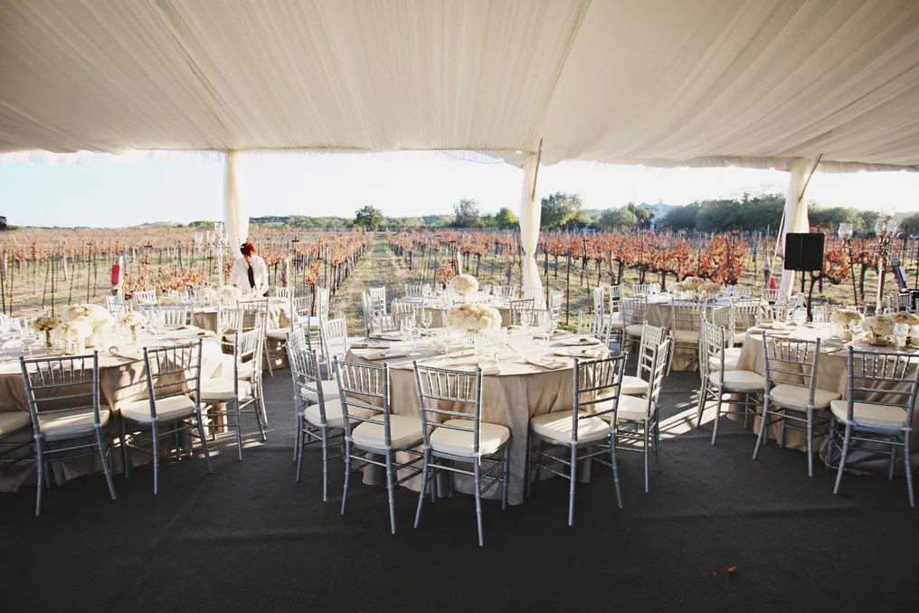 Spicewood Vineyards #19